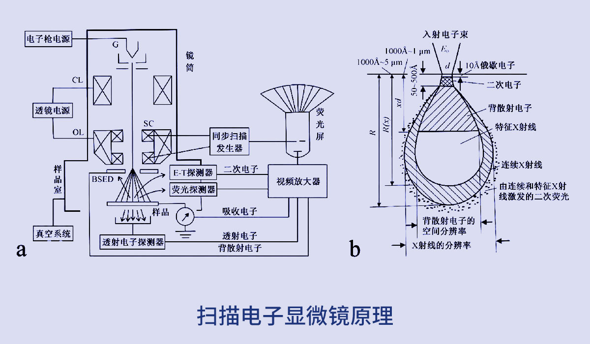 尊龙凯时【官网首页】人生就是博!