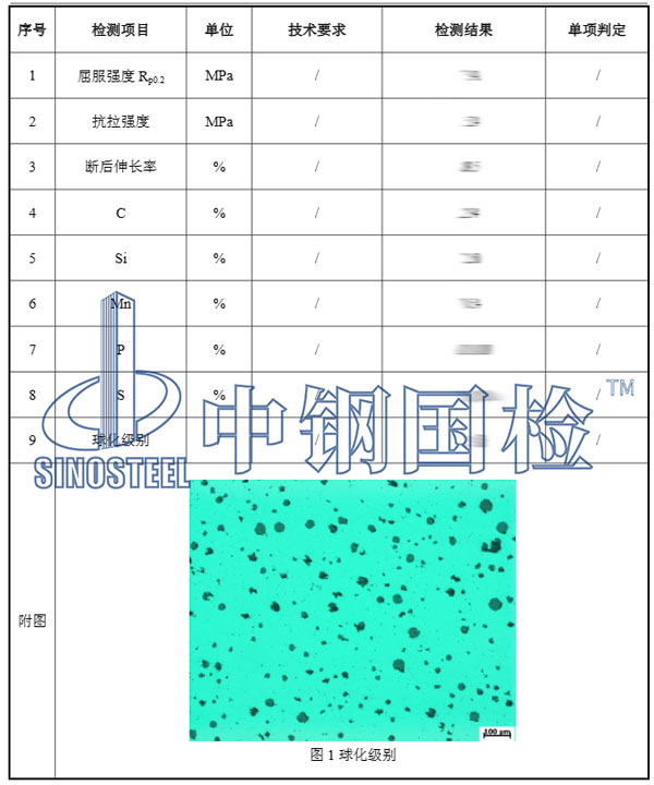 球墨铸铁检测项目效果