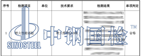 防火墙检测报告效果